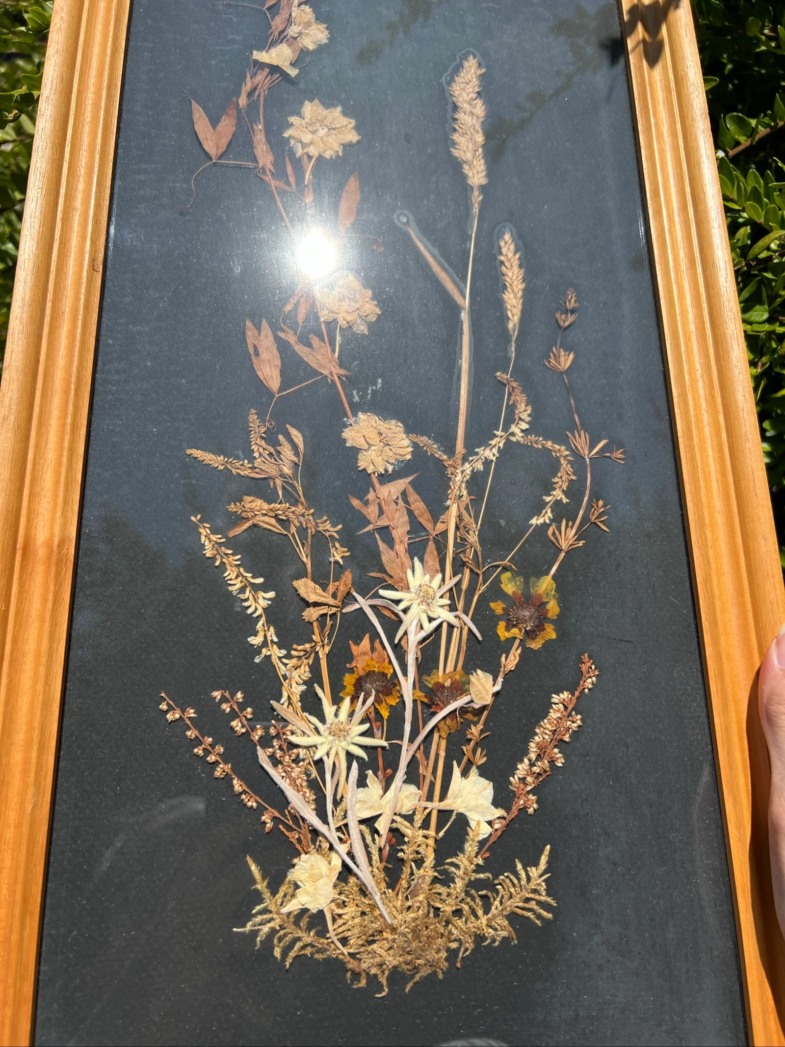 💮 Kadar kruidenboeket gedroogde bloemen Edelweiss vintage hout decoratieve muurkunst natuurlijk 56x26 cm – photo 3